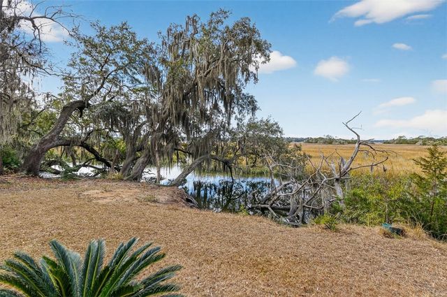 3317 NE Julienton Drive, Townsend, GA 31331