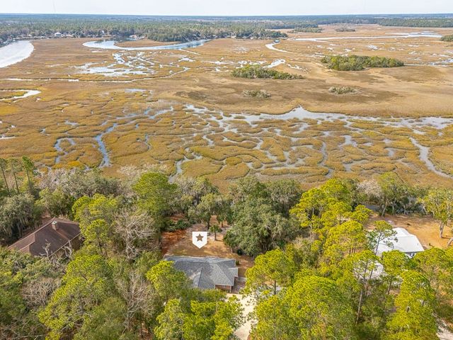 3317 NE Julienton Drive, Townsend, GA 31331