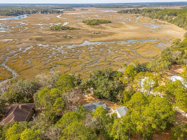 3317 NE Julienton Drive, Townsend, GA 31331