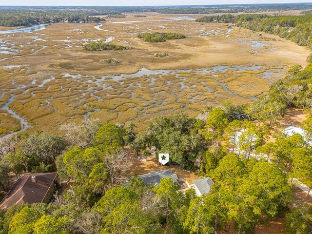 3317 NE Julienton Drive, Townsend, GA 31331