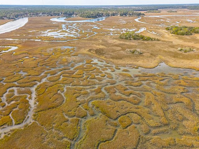 3317 NE Julienton Drive, Townsend, GA 31331