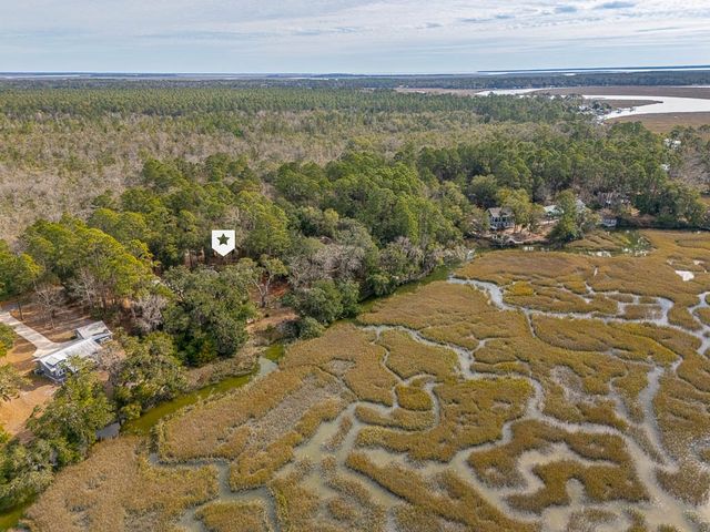 3317 NE Julienton Drive, Townsend, GA 31331