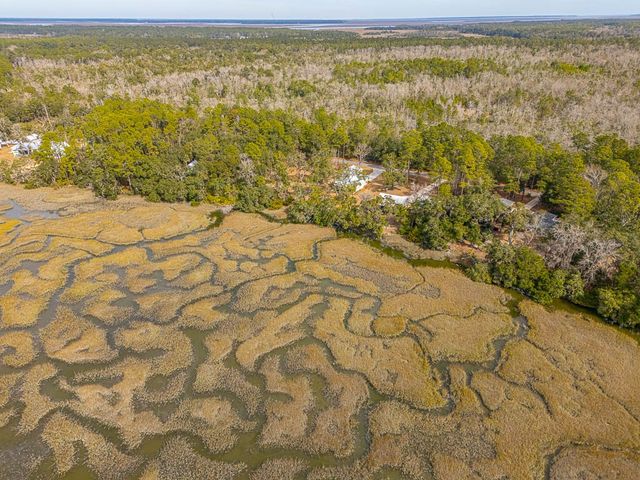 3317 NE Julienton Drive, Townsend, GA 31331