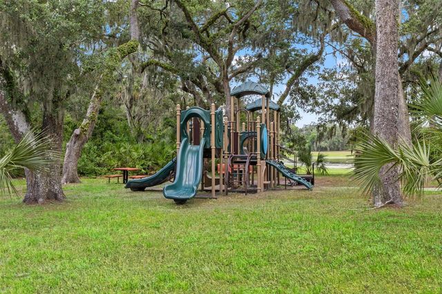 6334 KNOB TREE DRIVE, Lithia, FL 33547