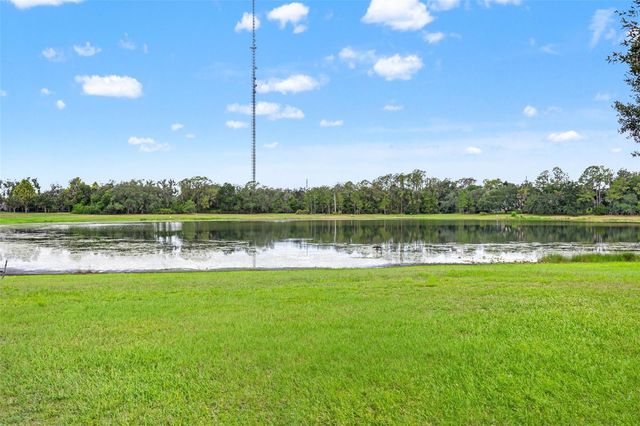 6334 KNOB TREE DRIVE, Lithia, FL 33547