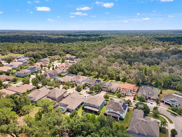 6334 KNOB TREE DRIVE, Lithia, FL 33547