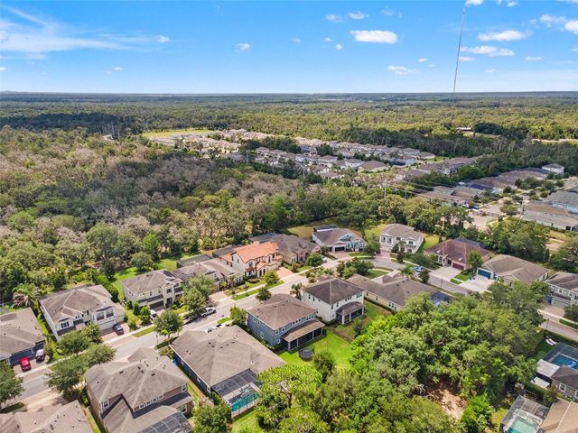 6334 KNOB TREE DRIVE, Lithia, FL 33547
