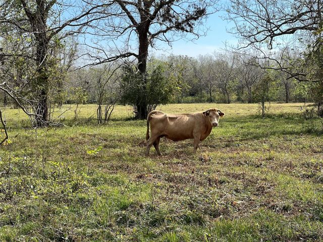 0 Hwy 35 E, Van Vleck, TX 77482