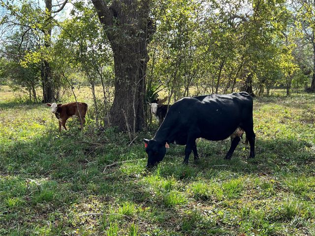 0 Hwy 35 E, Van Vleck, TX 77482