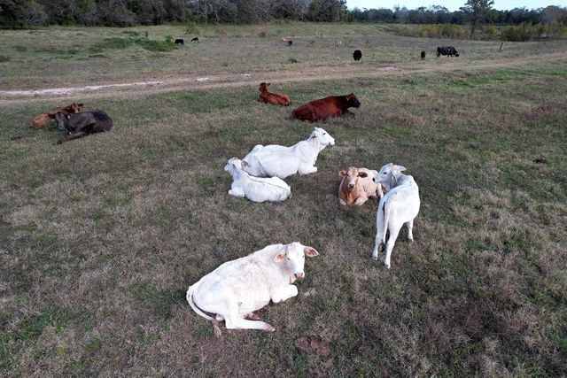 0 Hwy 35 E, Van Vleck, TX 77482