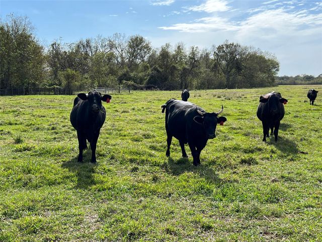 0 Hwy 35 E, Van Vleck, TX 77482