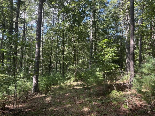 Lt 63 Harmony Way, Morganton, GA 30560