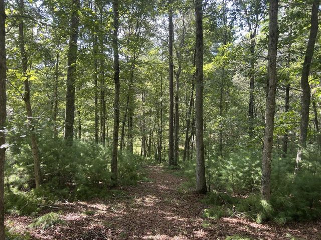 Lt 63 Harmony Way, Morganton, GA 30560