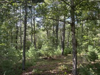 Lt 63 Harmony Way, Morganton, GA 30560