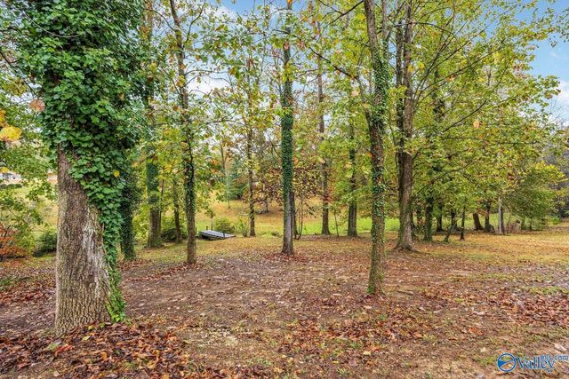 42 Case Circle, Trenton, GA 30752