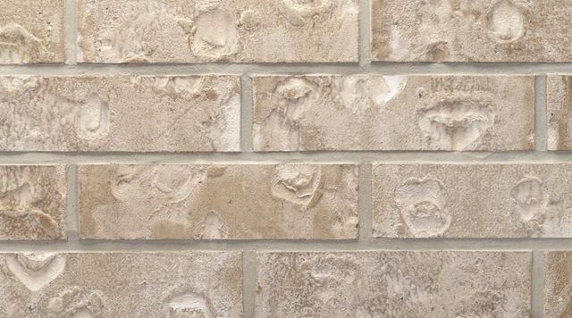 18727 Citrange Bend Way, Manvel, TX 77578