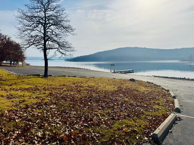 290 State Highway Uu, Blue Eye, MO 65611