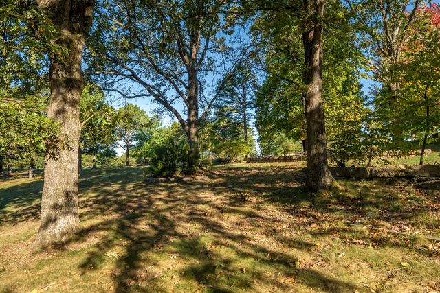 290 State Highway Uu, Blue Eye, MO 65611