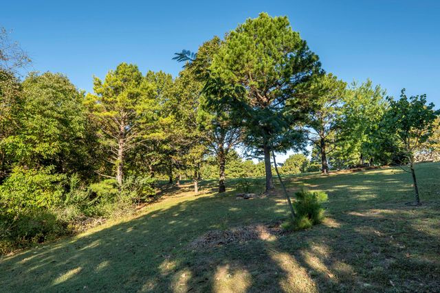 290 State Highway Uu, Blue Eye, MO 65611