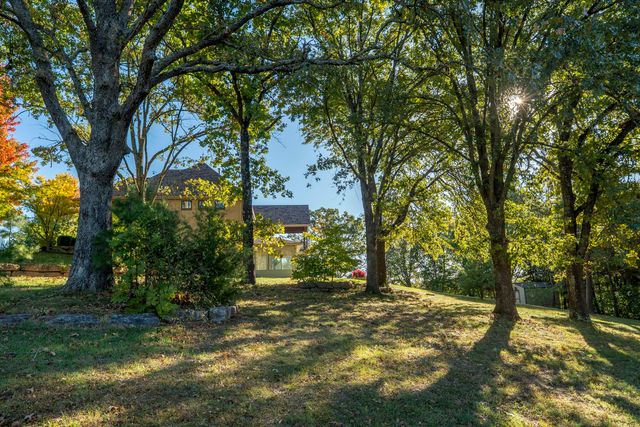 290 State Highway Uu, Blue Eye, MO 65611