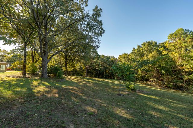 290 State Highway Uu, Blue Eye, MO 65611