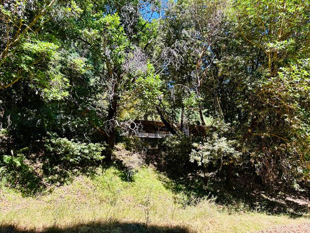 2505 Huckleberry Lane, Whitethorn, CA 95589