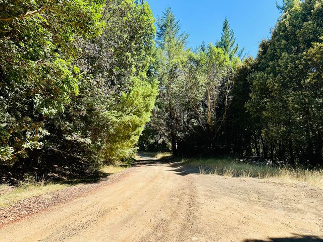 2505 Huckleberry Lane, Whitethorn, CA 95589