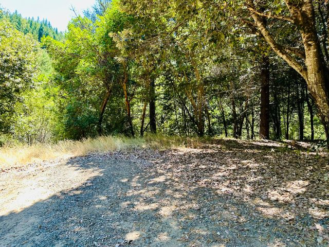 2505 Huckleberry Lane, Whitethorn, CA 95589