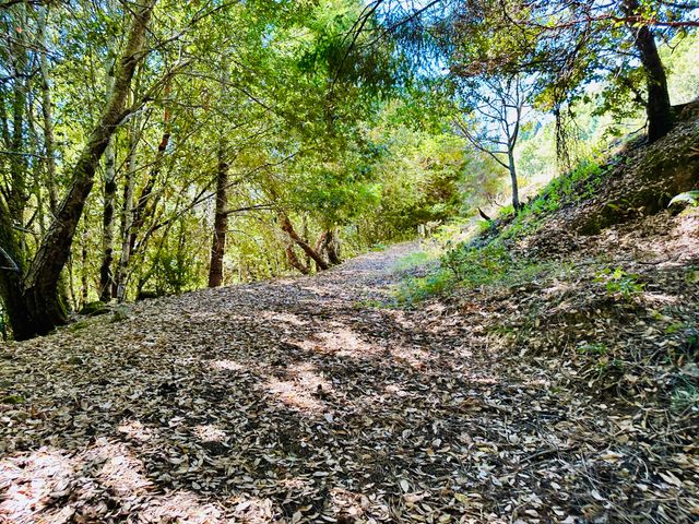 2505 Huckleberry Lane, Whitethorn, CA 95589