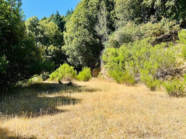 2505 Huckleberry Lane, Whitethorn, CA 95589