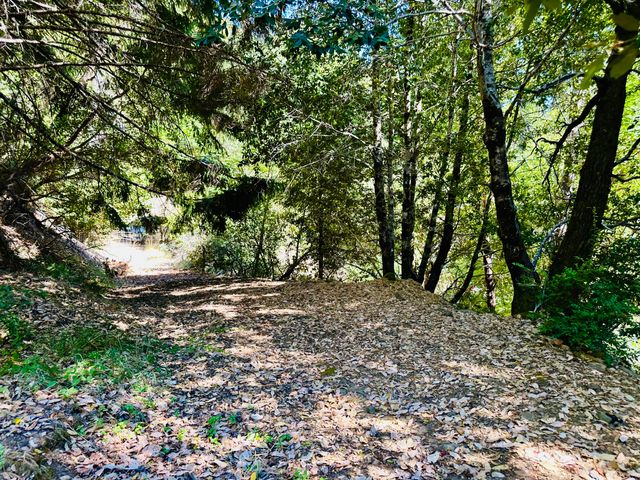 2505 Huckleberry Lane, Whitethorn, CA 95589