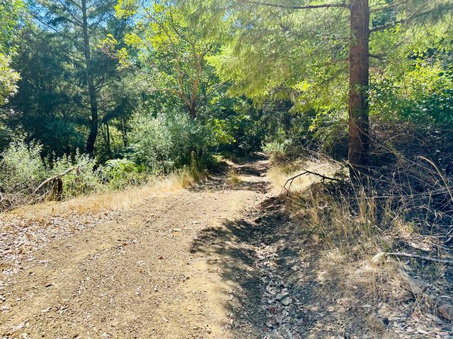 2505 Huckleberry Lane, Whitethorn, CA 95589