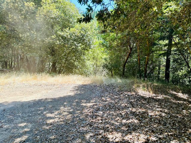 2505 Huckleberry Lane, Whitethorn, CA 95589