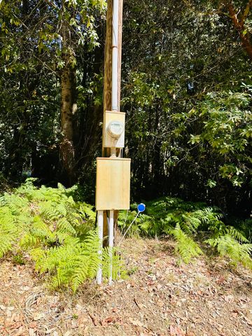 2505 Huckleberry Lane, Whitethorn, CA 95589