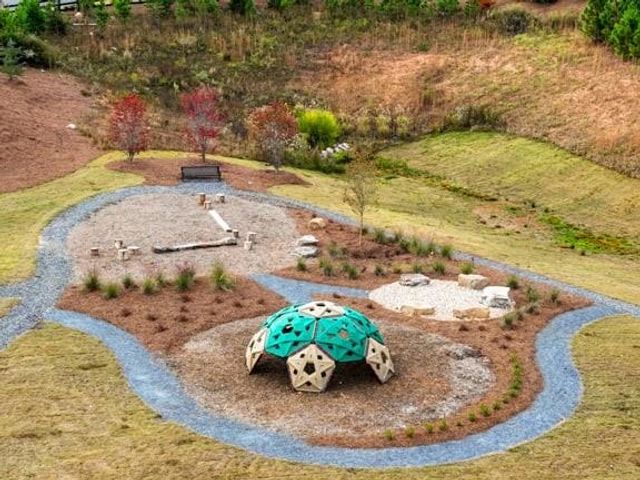 8690 Stratford Oaks Avenue, Ball Ground, GA 30107