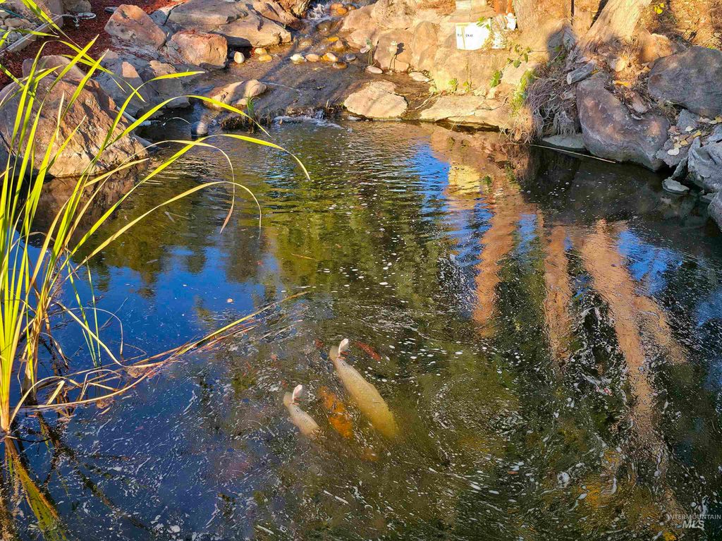 4010 Elmore Rd, Parma, ID 83660 photo 29