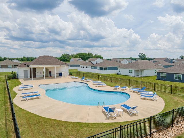 114 Stammer Farms Blvd, Chapel Hill, TN 37034