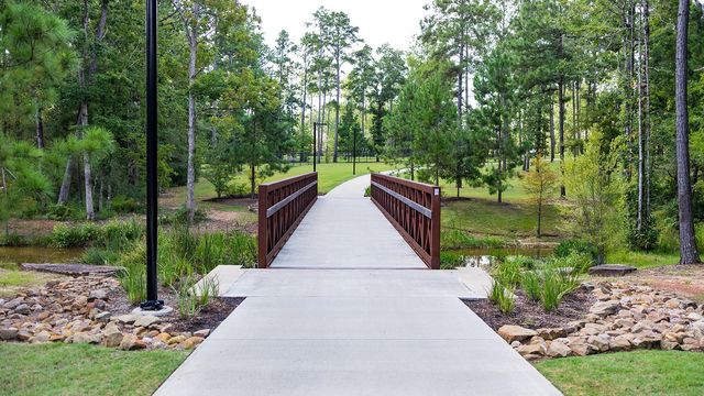 396 Nocturne Ridge Drive, Conroe, TX 77318