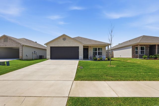 1255 Agogo Lane, Conway, AR 72034
