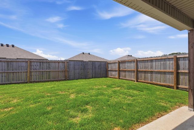1255 Agogo Lane, Conway, AR 72034