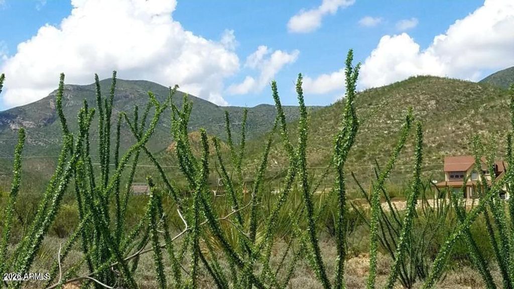 Image 1 of property listing at Lot 20 W Cameo Street 20, Bisbee, AZ 85603