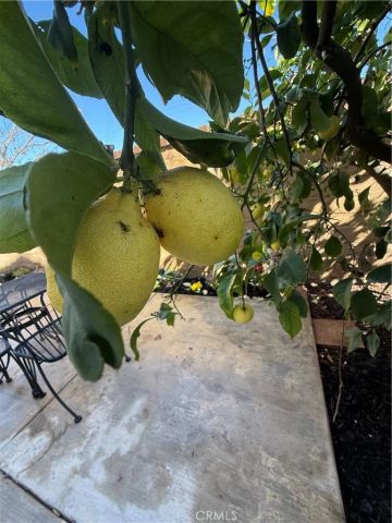 25056 Driftoak, Murrieta, CA 92562