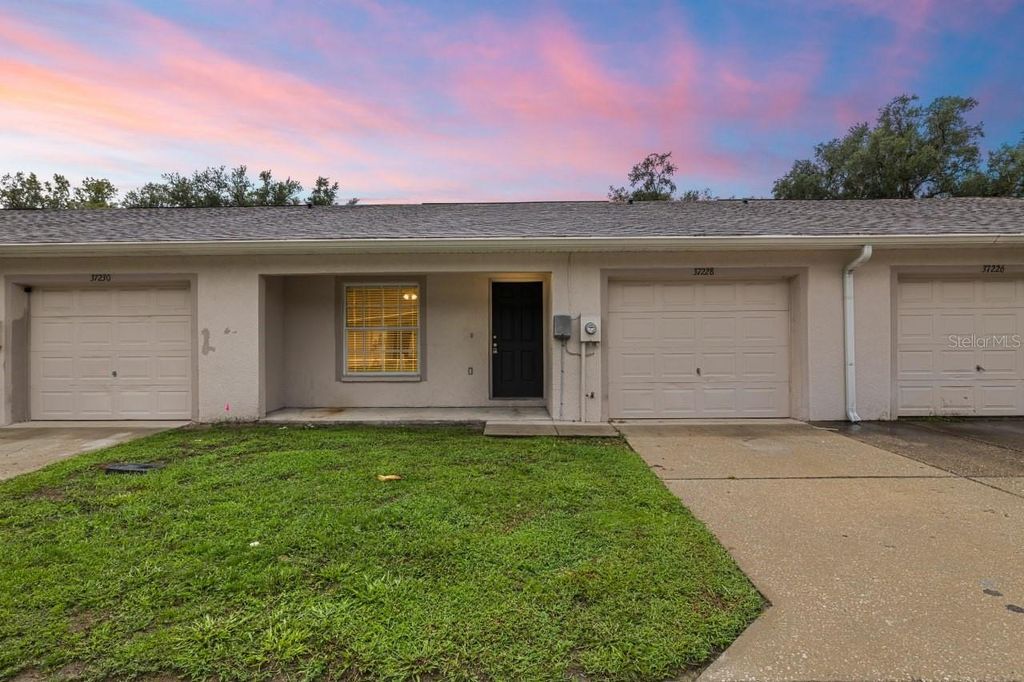 37228 GRASSY HILL LANE, Dade City, FL 33525