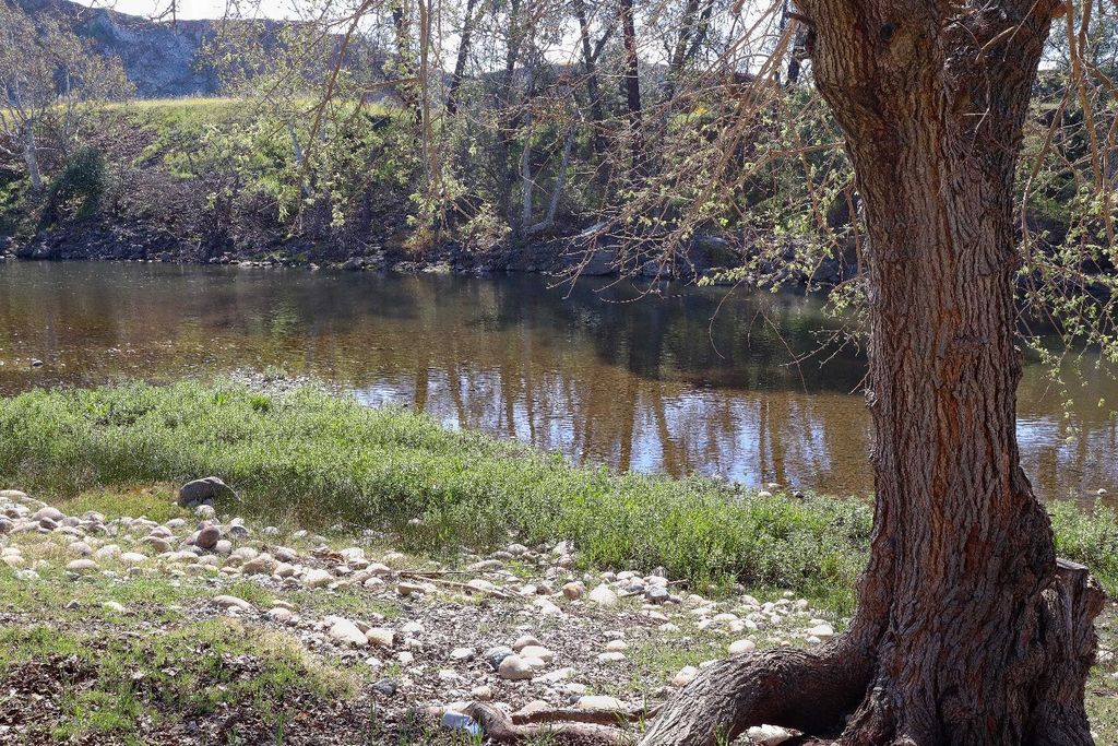 Image 30 of property listing at 25433 Trimmer Springs # 4, Sanger, CA 93657