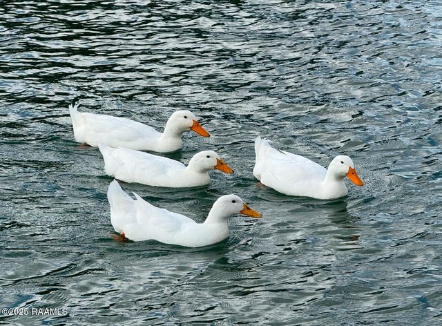 12920 La Hwy 697, Kaplan, LA 70548