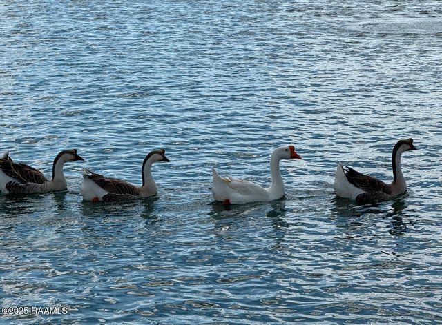 12920 La Hwy 697, Kaplan, LA 70548