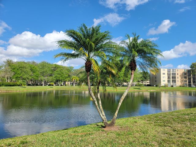 7900 NW 50th Street 304, Lauderhill, FL 33351