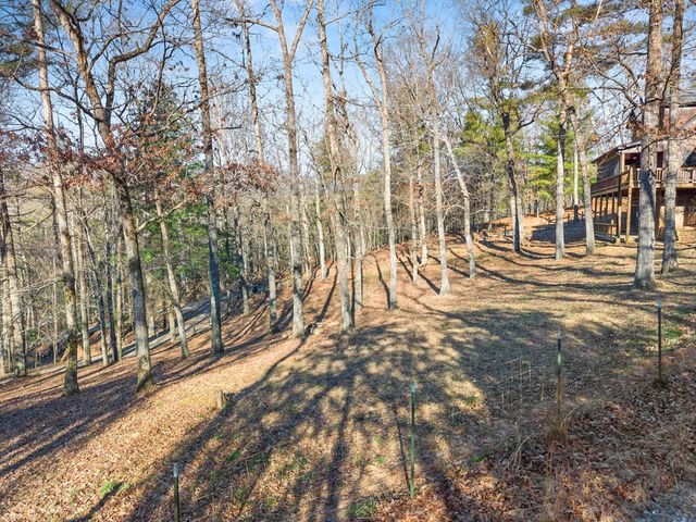 234 Old Indian Trail, Blue Ridge, GA 30513