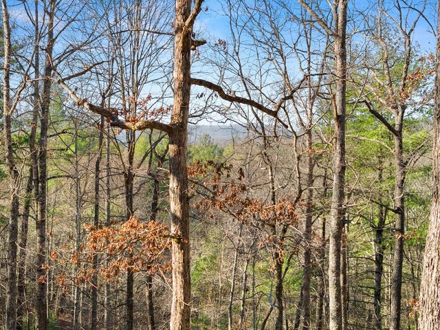 234 Old Indian Trail, Blue Ridge, GA 30513
