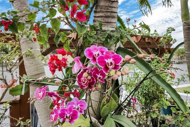 2364 NW 39th AVE, Cape Coral, FL 33993